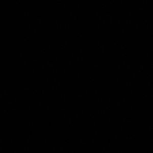 Meet your Posher, Meryem